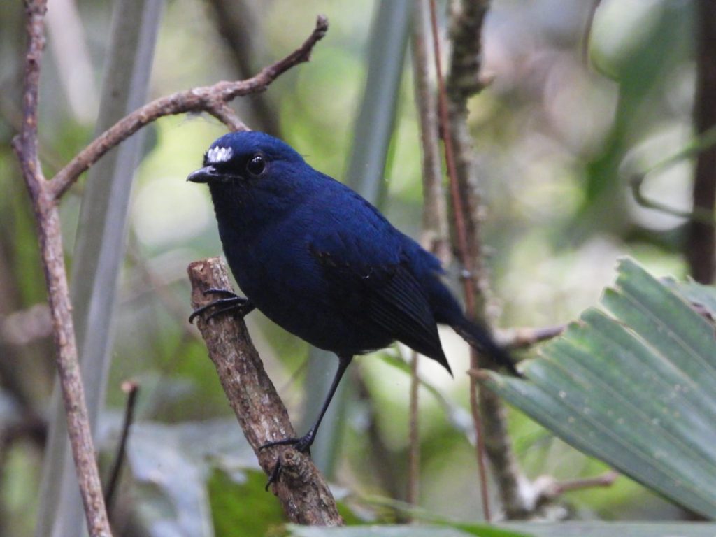 whatsapp image 2025 11 24 at 10.13.02