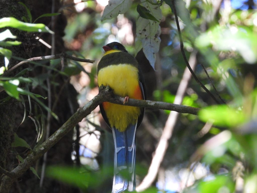 whatsapp image 2025 11 24 at 10.13.16