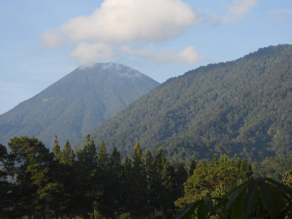 whatsapp image 2025 11 25 at 08.33.12