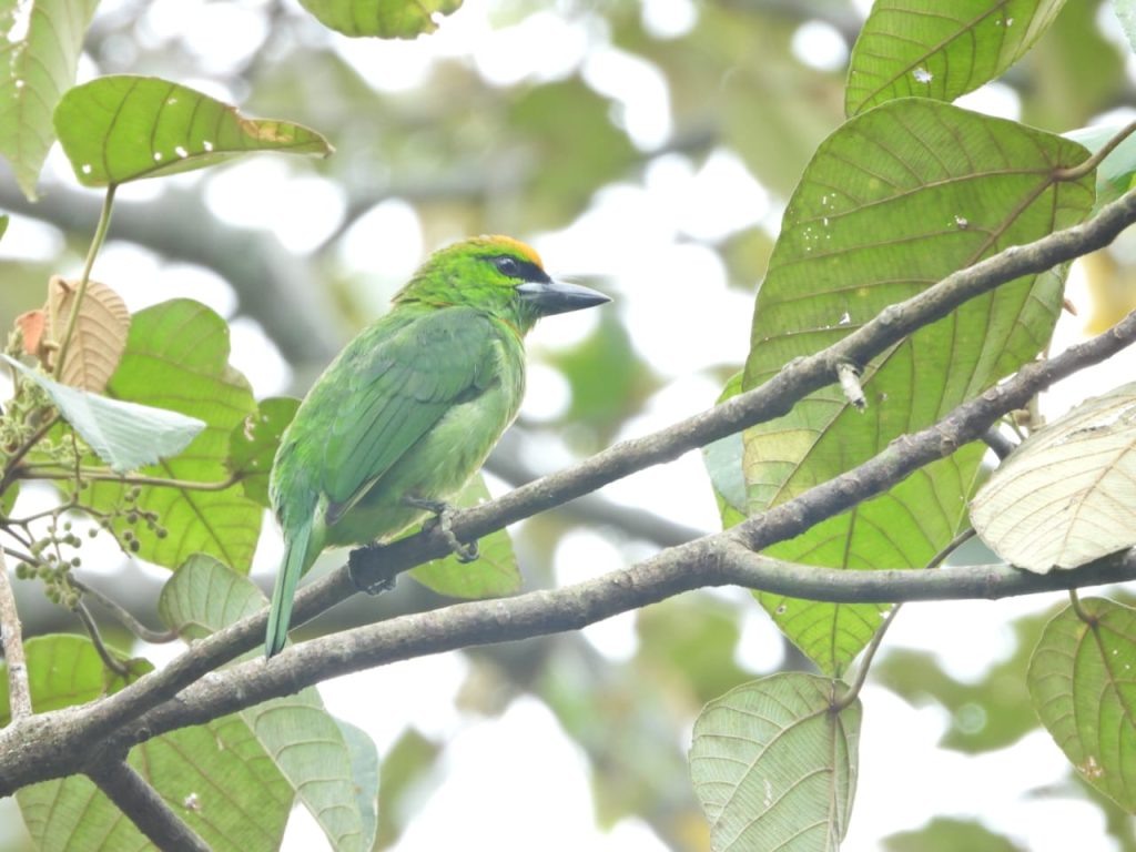 whatsapp image 2025 11 25 at 08.38.27