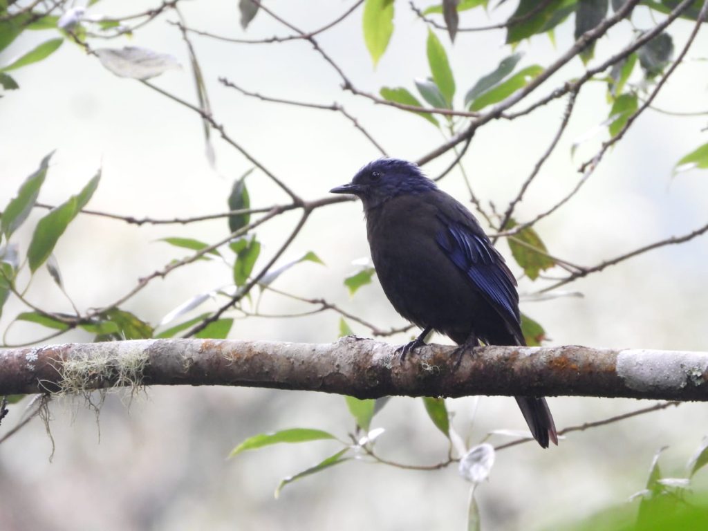 whatsapp image 2025 11 25 at 08.41.07