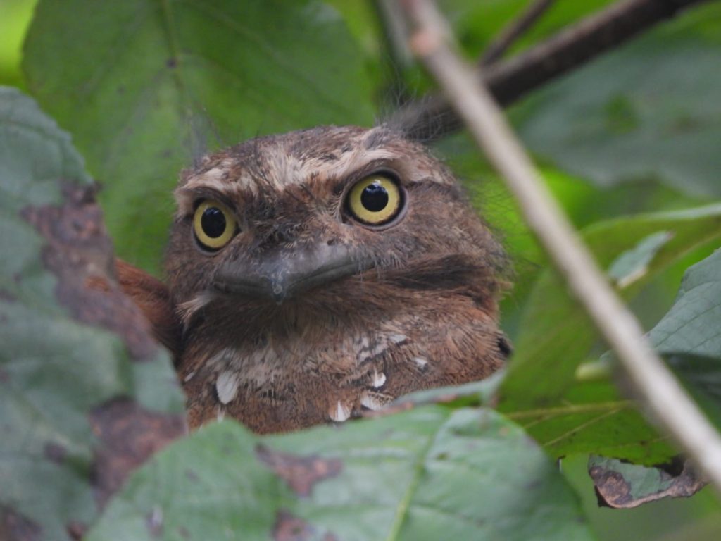 whatsapp image 2025 11 25 at 08.45.39