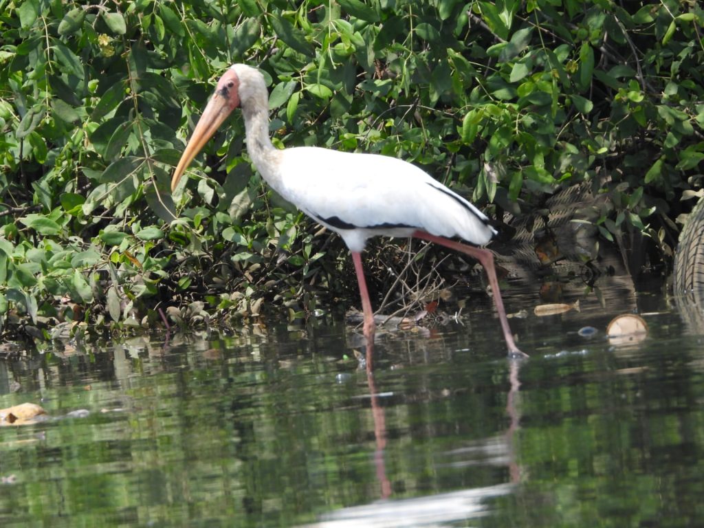 whatsapp image 2025 11 25 at 08.53.34