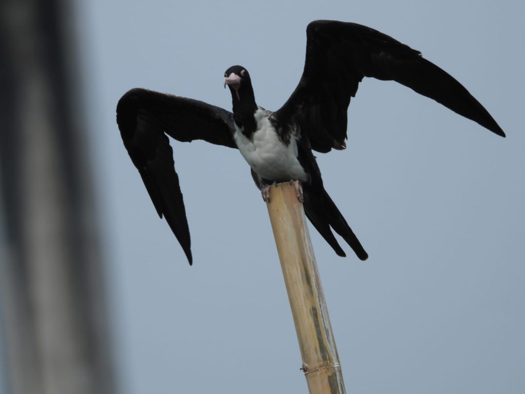 whatsapp image 2025 11 25 at 09.02.32