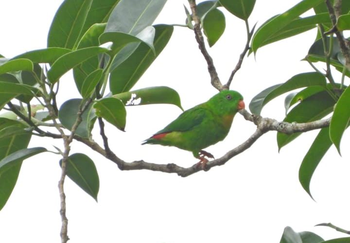 whatsapp image 2025 11 29 at 16.44.23