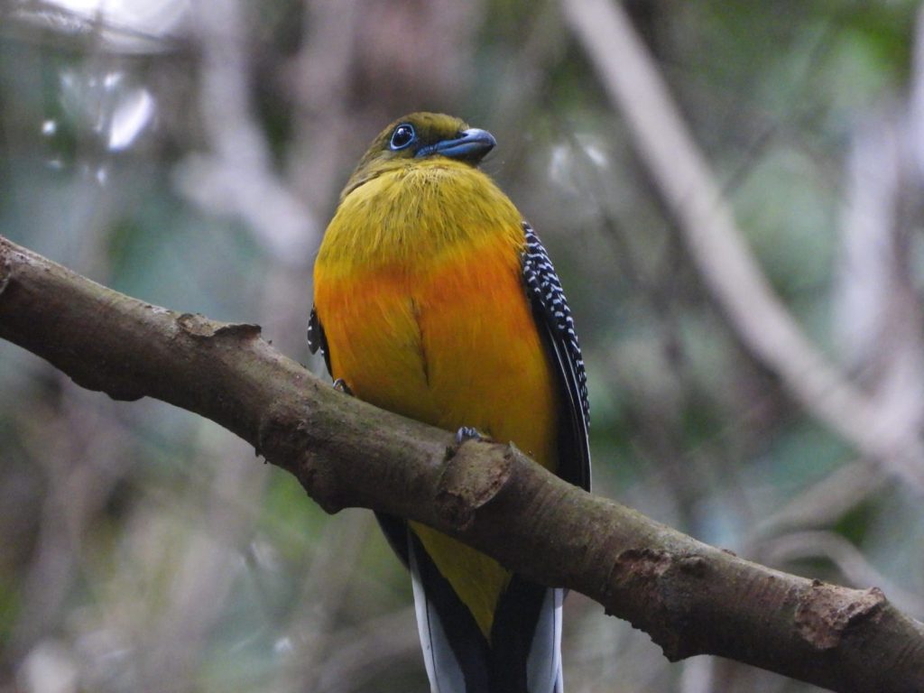 whatsapp image 2025 11 29 at 16.47.43