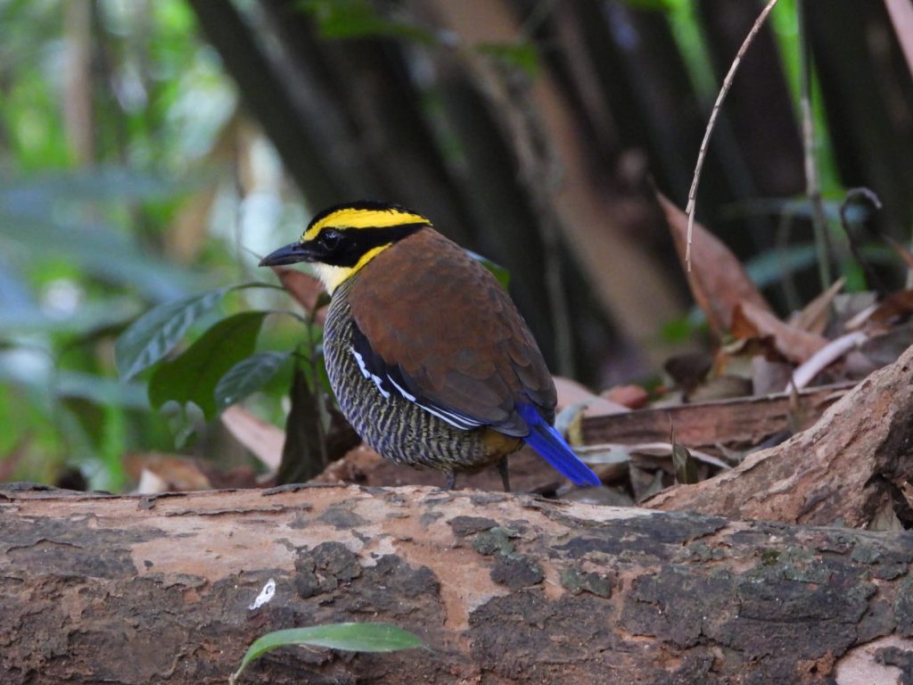 whatsapp image 2025 11 29 at 16.48.09