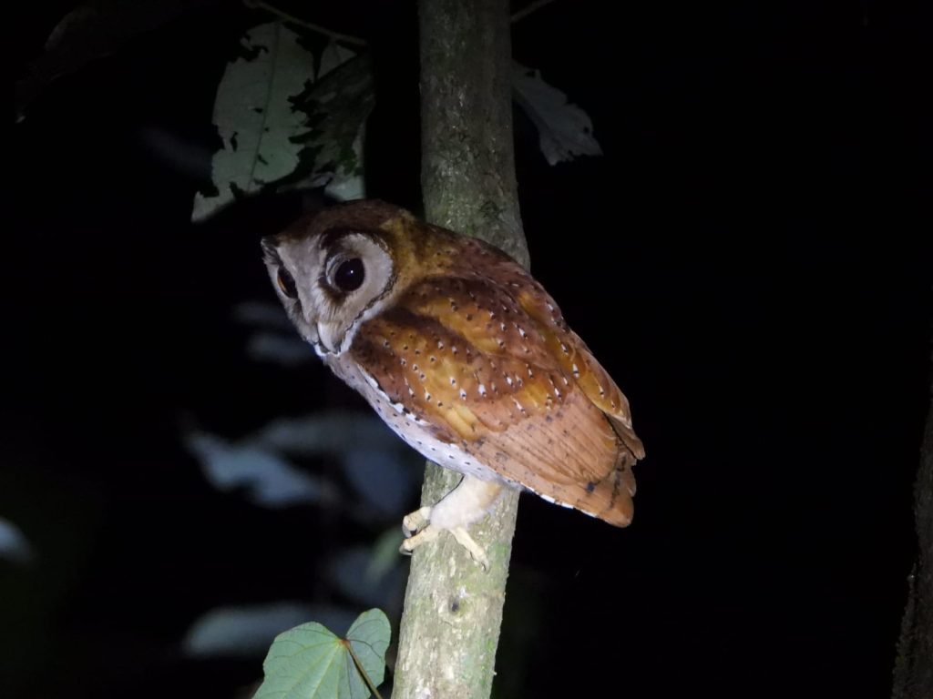 whatsapp image 2025 11 30 at 07.38.37