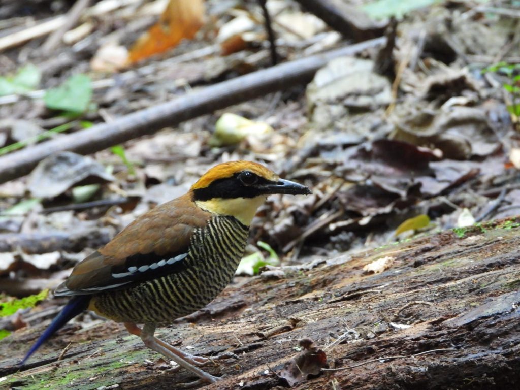 whatsapp image 2025 11 30 at 07.39.27