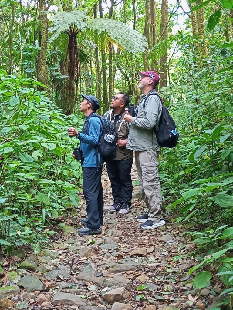 whatsapp image 2026 03 16 at 16.17.07